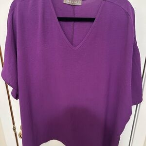 V-Neck Purple Tunic Top by